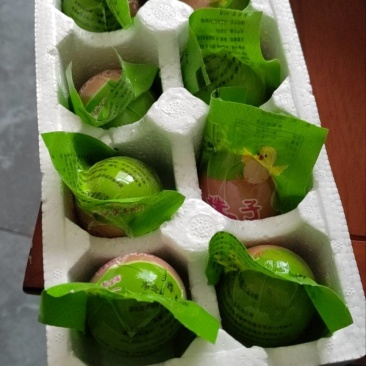 生鲜活珠子。。五香活珠子