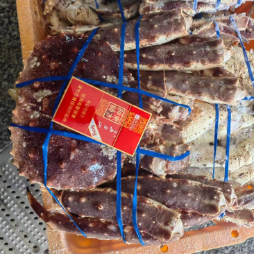 生冻帝王蟹，石蟹，岩蟹整只批发