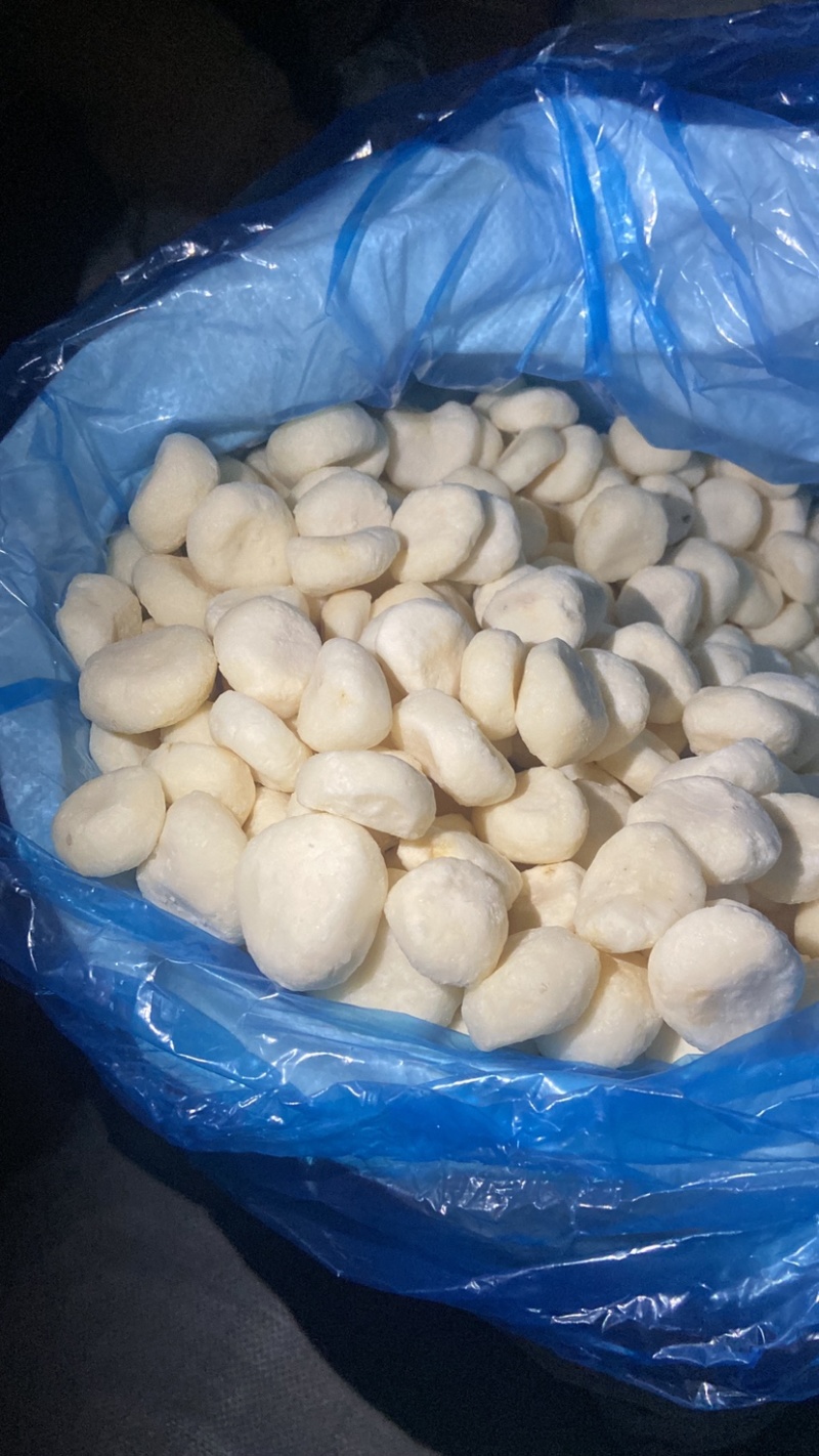 广西桂林荔浦速冻马蹄丁圆马蹄厂家一手货直销批发价格优惠