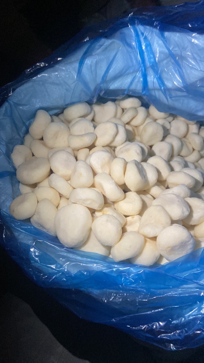 广西桂林荔浦速冻马蹄丁圆马蹄厂家一手货直销批发价格优惠