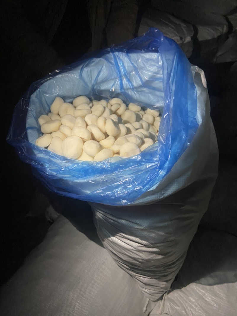广西桂林荔浦速冻马蹄丁圆马蹄厂家一手货直销批发价格优惠