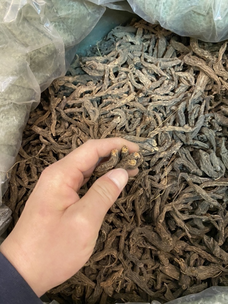 红大戟