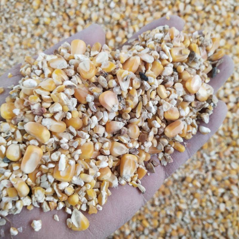 净粮碎玉米物美价廉