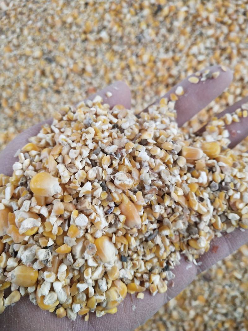 净粮碎玉米物美价廉