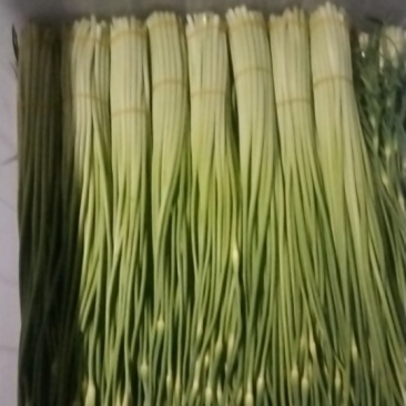 金品蒜薹