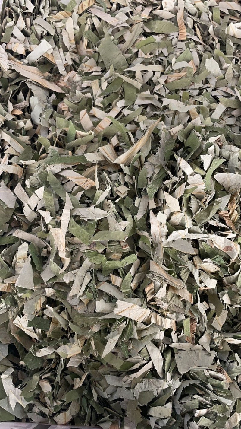 荷叶批发零售中药材一斤起发量大从优一件代发
