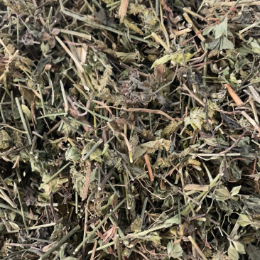 狗肝菜批发零售中药材一斤起发量大从优一件代发