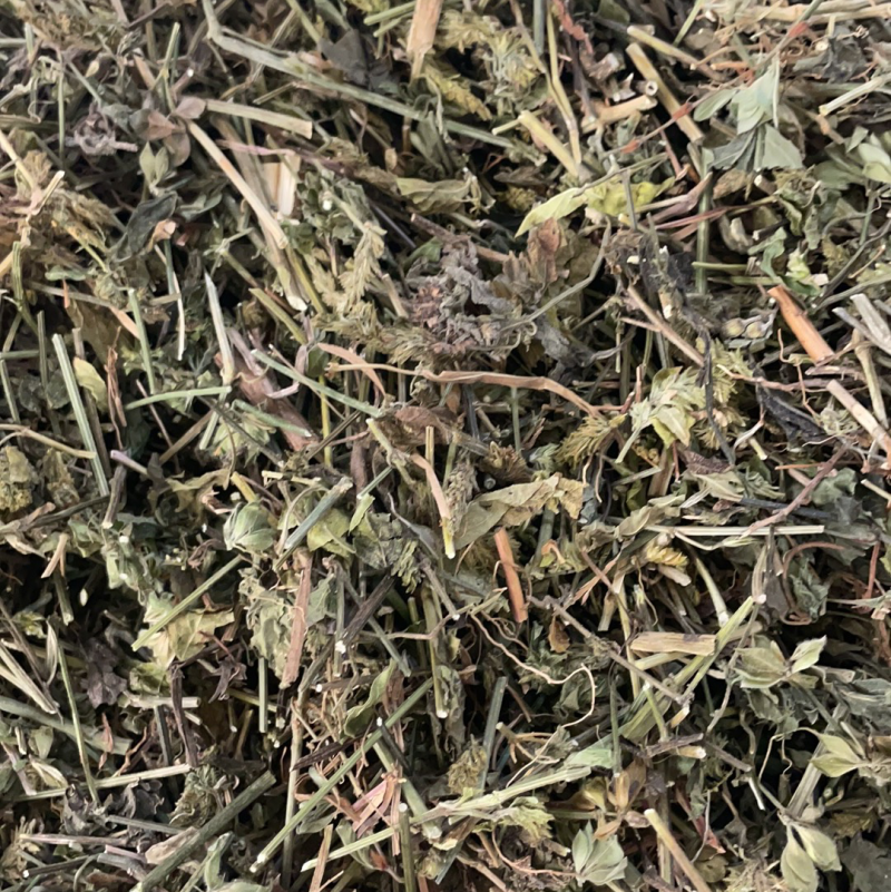 狗肝菜批发零售中药材一斤起发量大从优一件代发