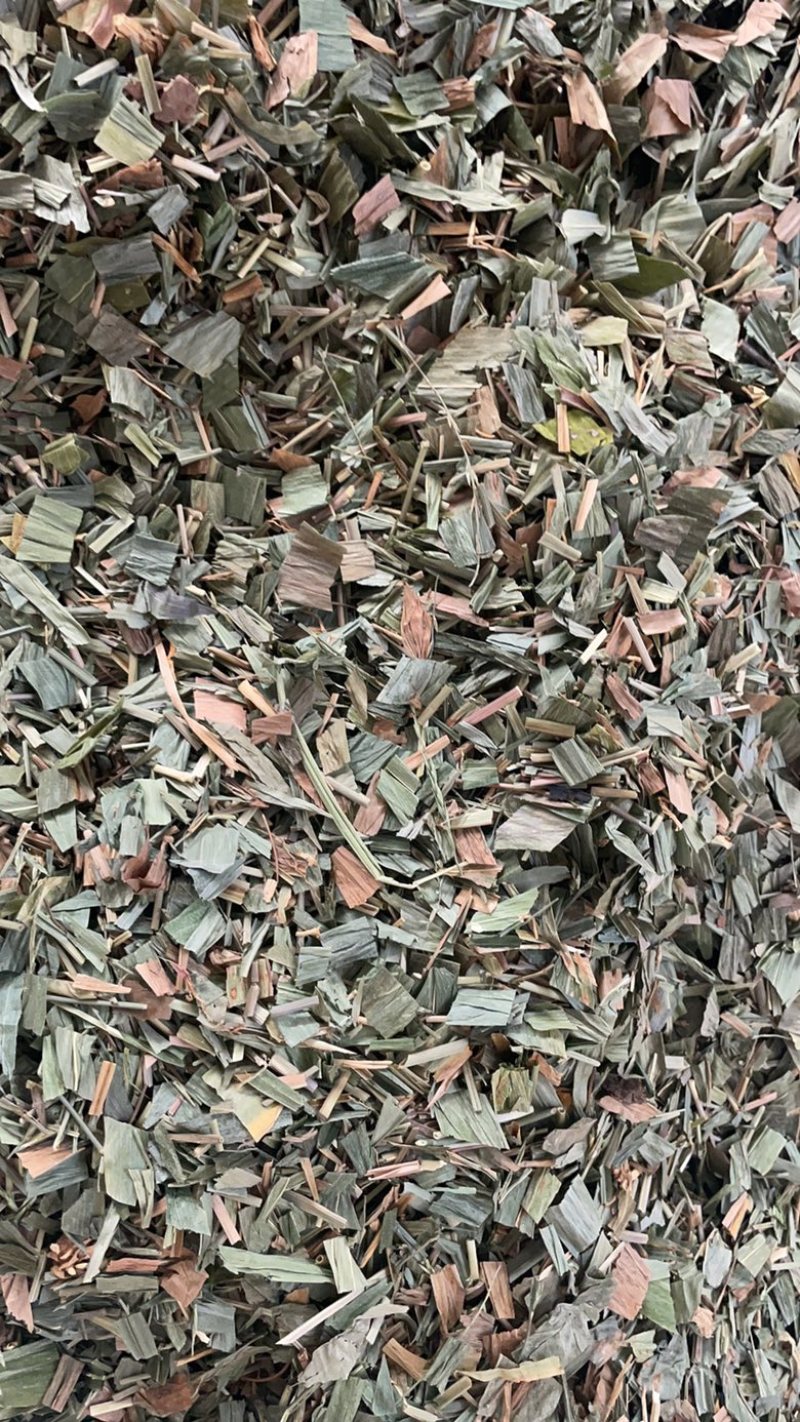 竹叶批发零售中药材一斤起发量大从优一件代发