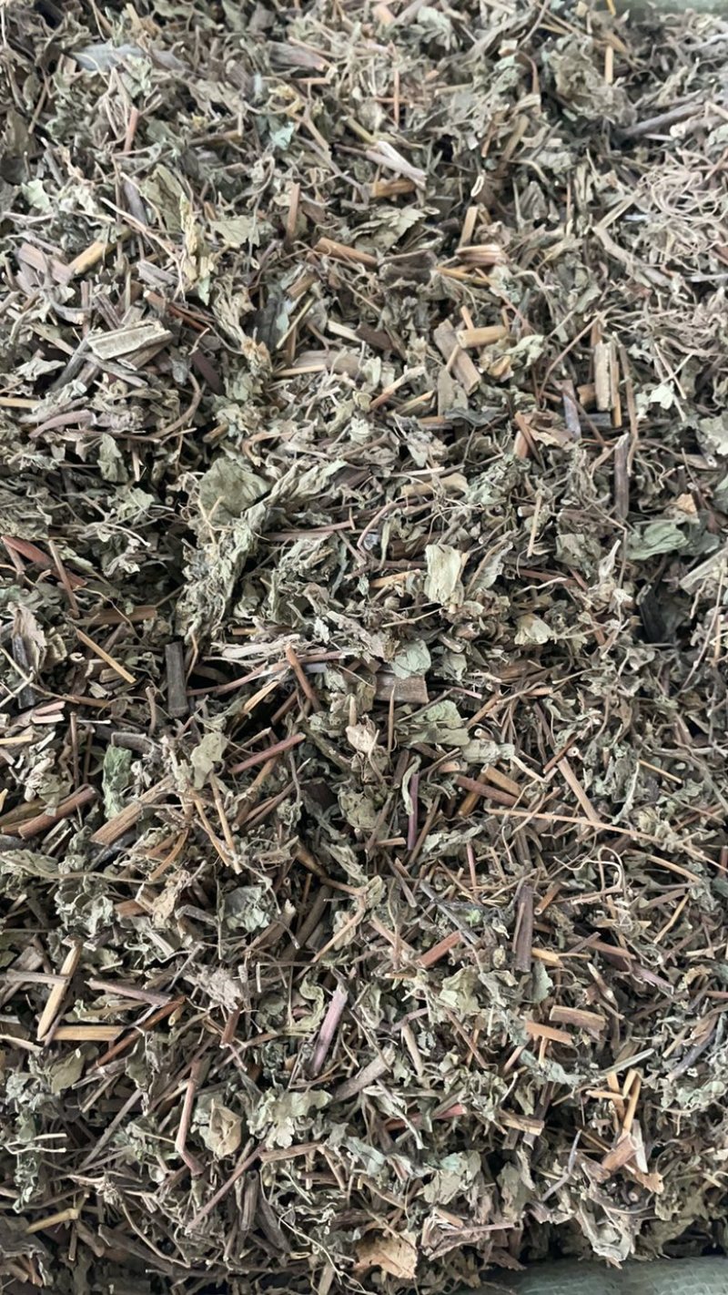 豨莶草批发零售中药材一斤起发量大从优一件代发