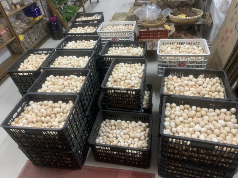 农家散养土鸡蛋新鲜营养五谷杂粮蛋鸡屎蛋零脂鸡蛋减脂鸡蛋