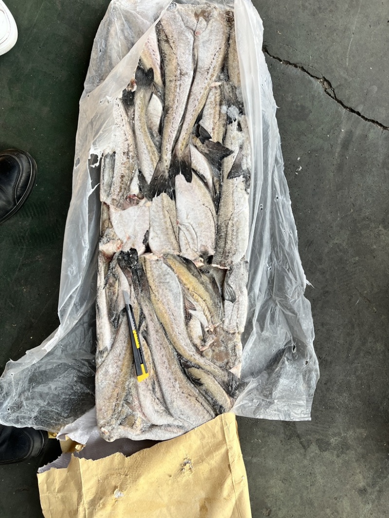 狭鳕鱼明太鱼鳕鱼原料去头去脏量大可议