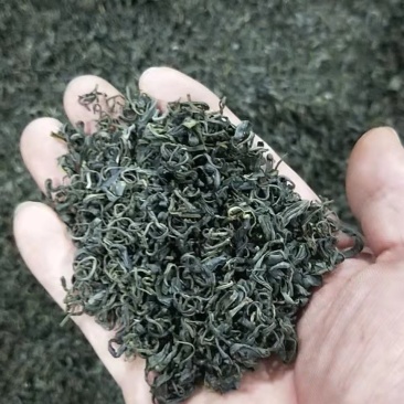 仙山绿茶（香茶丶）