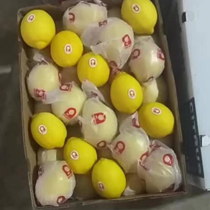 四川安岳柠檬尤力黄柠檬整箱餐饮奶茶店专用皮薄汁多果香浓郁