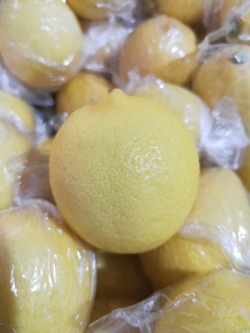 四川安岳柠檬尤力黄柠檬整箱餐饮奶茶店专用皮薄汁多果香浓郁