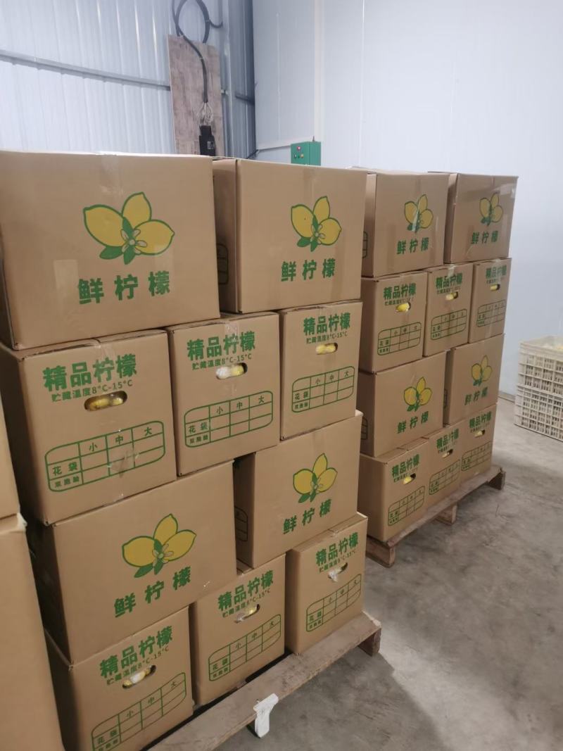四川安岳尤力克黄柠檬产地直发市场奶茶餐饮专用皮薄汁多果香