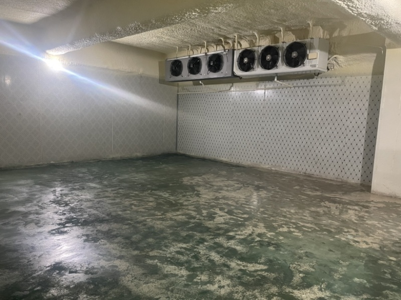 东西湖冷藏库冷冻库优价出租