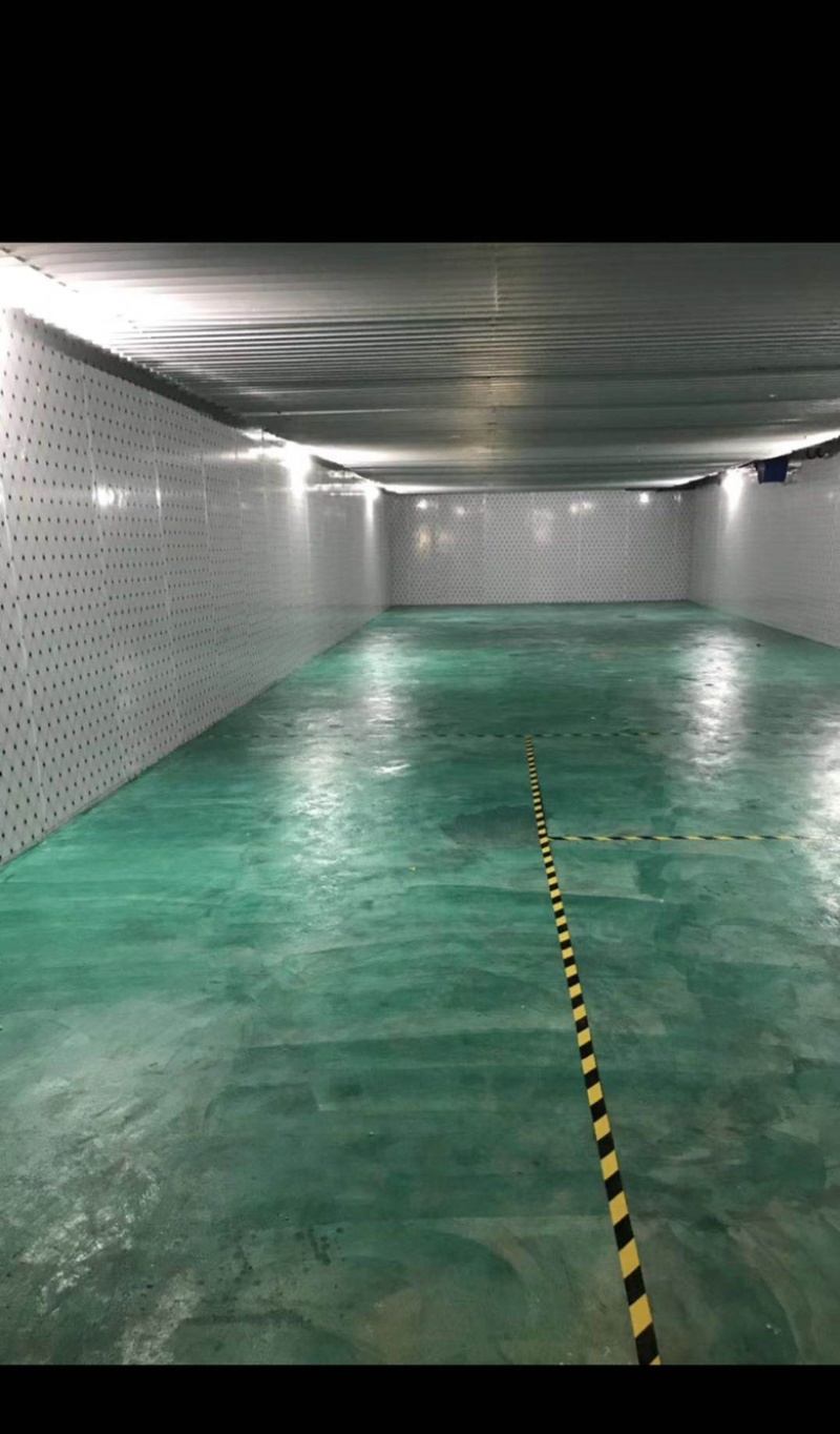 东西湖冷藏库冷冻库优价出租