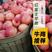 红富士苹果山东苹果纸袋，膜袋，纸夹膜货源充足价格便宜
