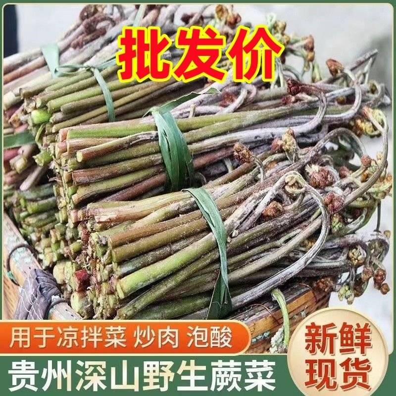 包邮【产地直销】野生蕨菜贵州新鲜现摘龙爪菜甜蕨菜应季野菜