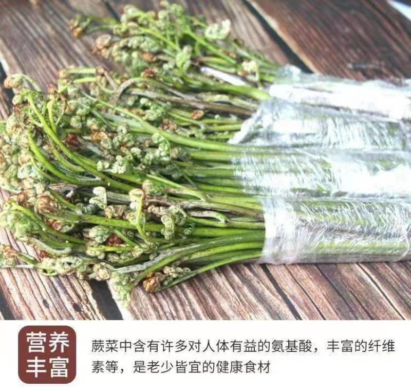 包邮【产地直销】野生蕨菜贵州新鲜现摘龙爪菜甜蕨菜应季野菜