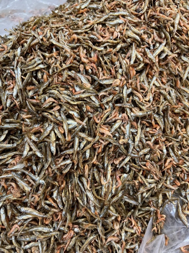 小鱼小虾油炸无盐不苦河虾河鱼公鱼批发量大优惠
