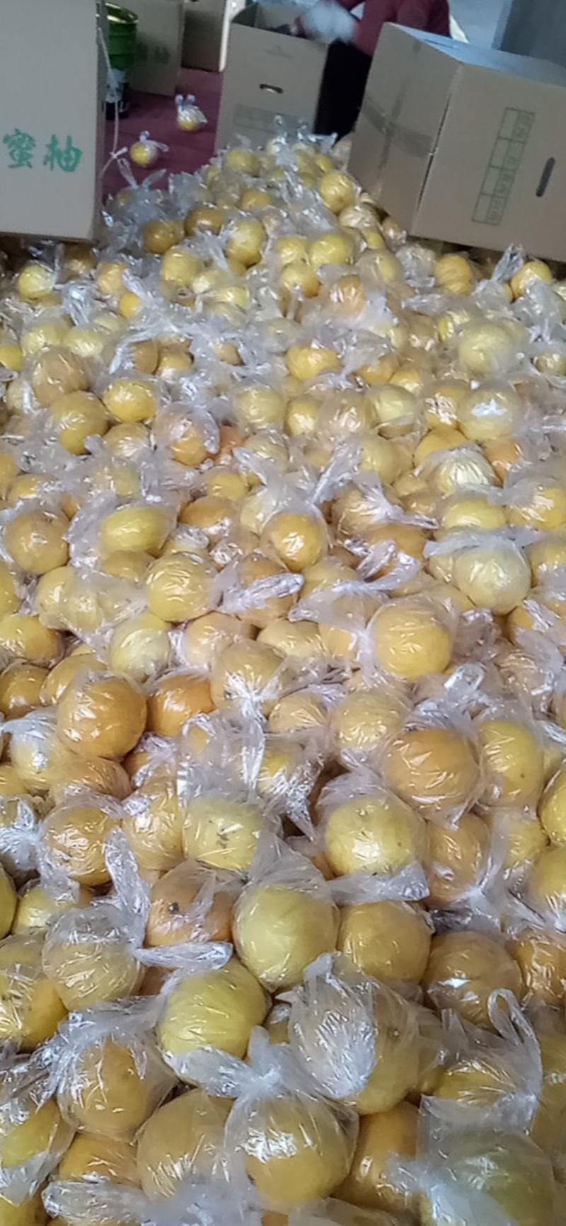 葡萄柚货源充足对接商超批发市场社区团购品质保证