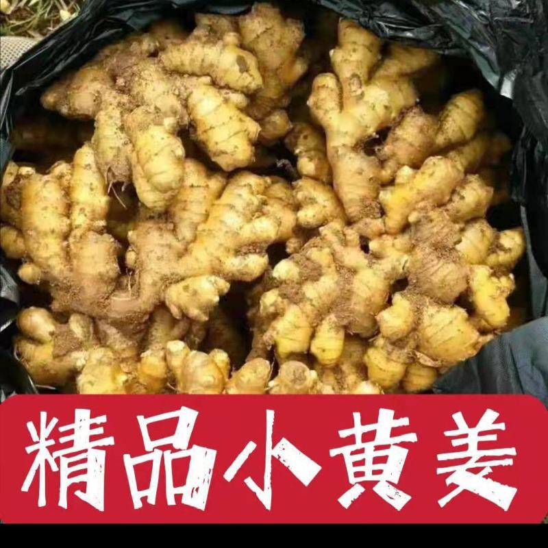 【优质小黄姜】产地批发保质保量电商市场商超