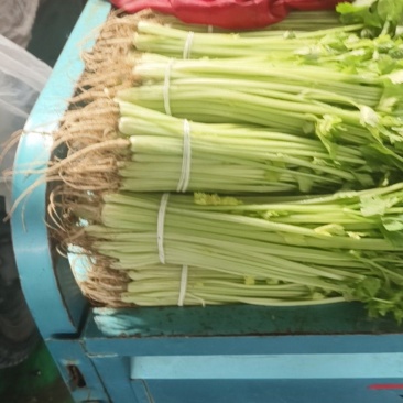 芹菜