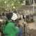 江苏基地中华木绣球斗球大苗带花苞直供
