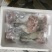 鳄鱼掌海南直发保证新鲜量大价格更优