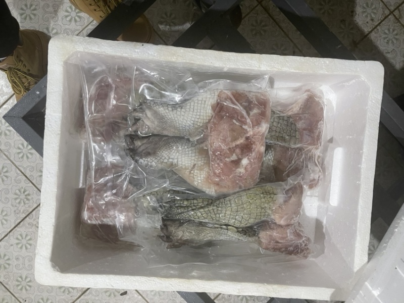 鳄鱼掌海南直发保证新鲜量大价格更优