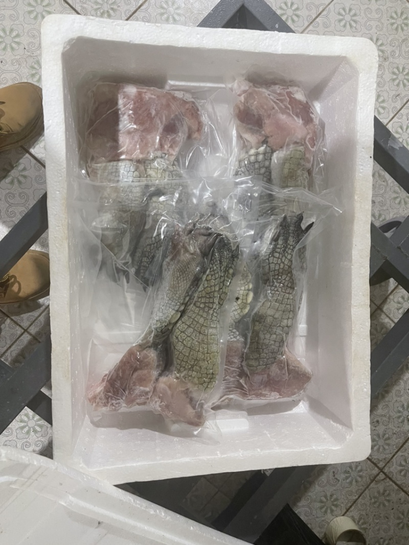 鳄鱼掌海南直发保证新鲜量大价格更优