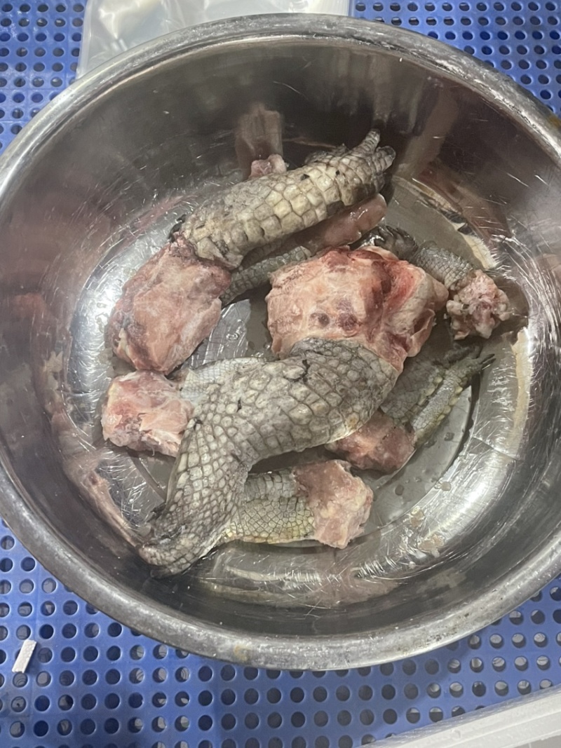 鳄鱼掌海南直发保证新鲜量大价格更优