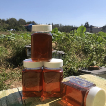 枣花蜜4斤