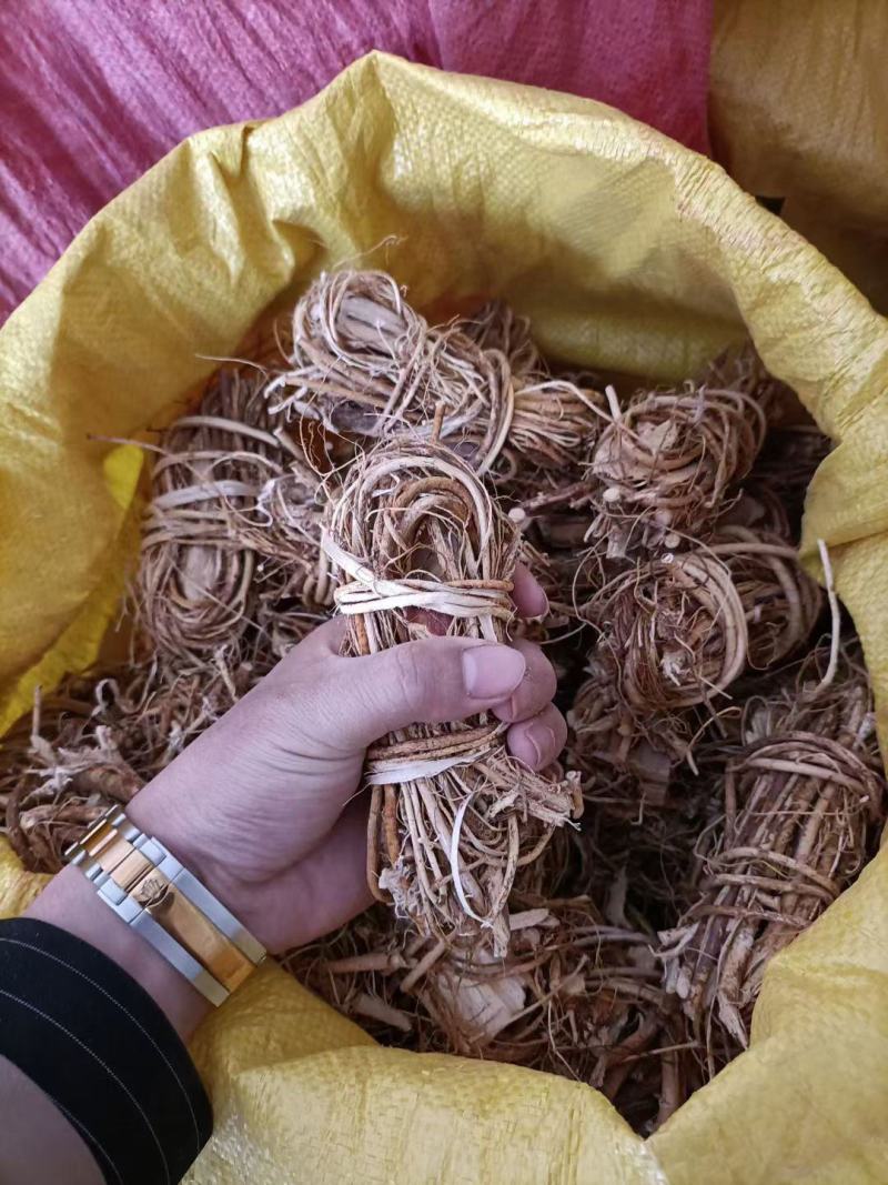 种植五指毛桃小扎把五指毛桃红扎五指毛桃红小节红中节头片头