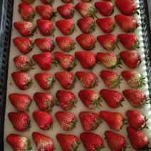 安徽临泉县黄岭镇红颜草莓，种植基地货源充足