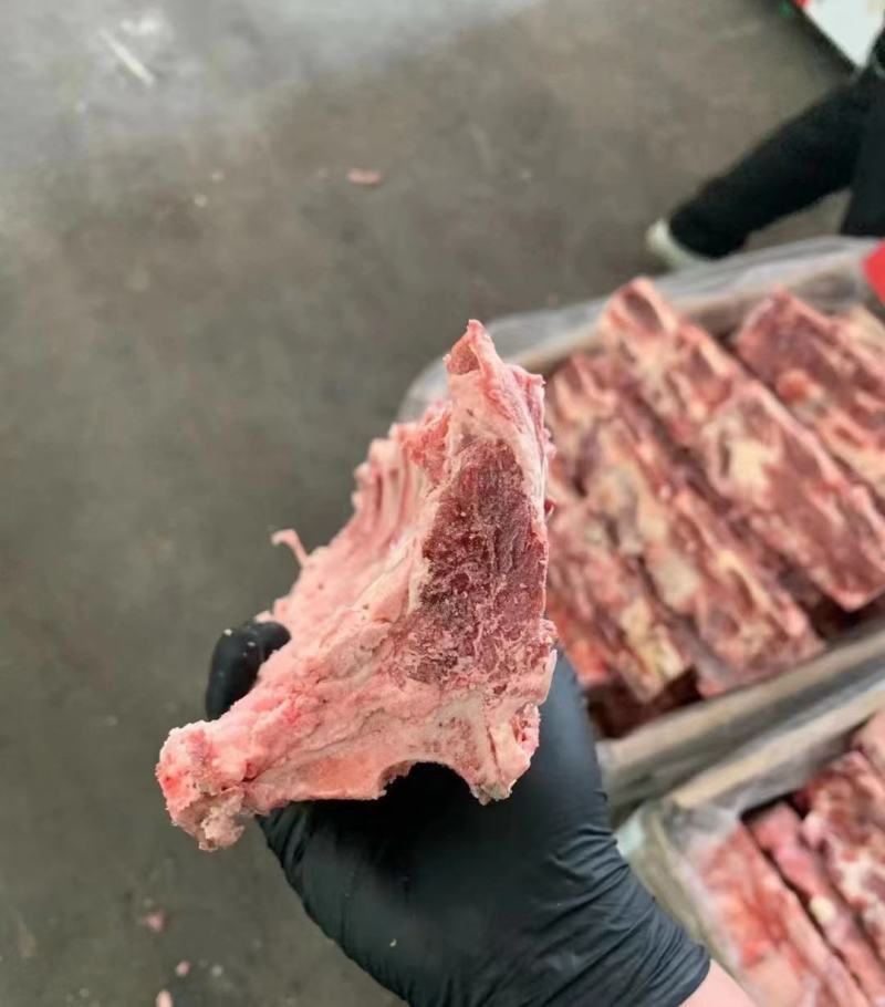 牛背骨