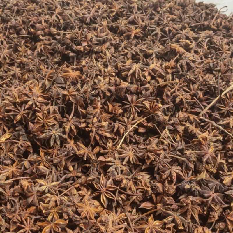 无硫水烫果春花八角大个头颜色正宗大