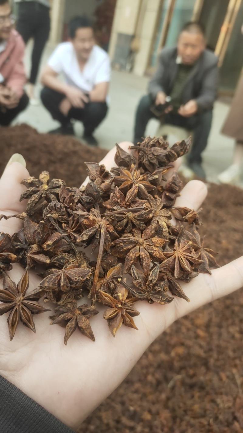 无硫水烫果春花八角大个头颜色正宗大