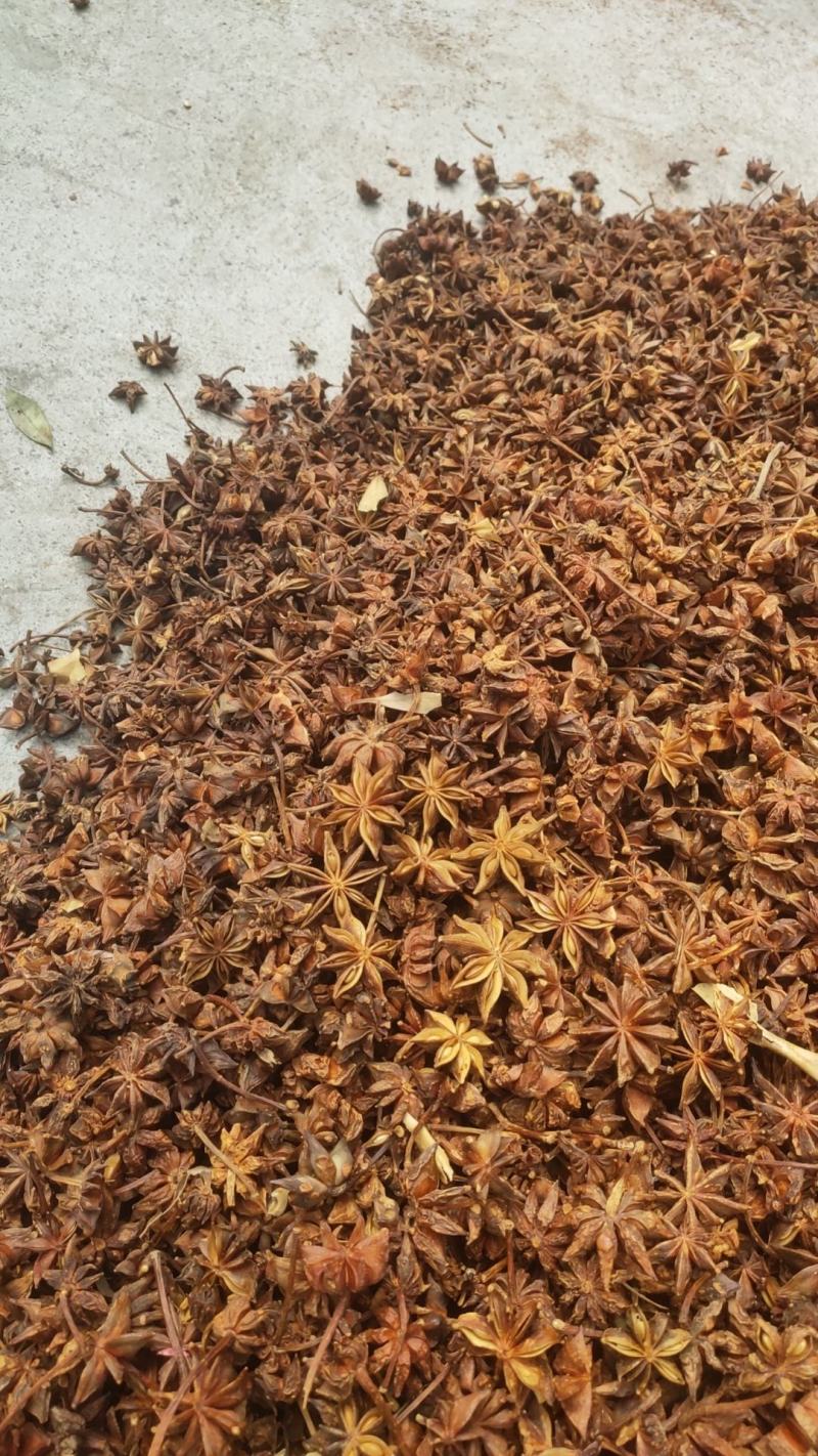 无硫水烫果春花八角大个头颜色正宗大