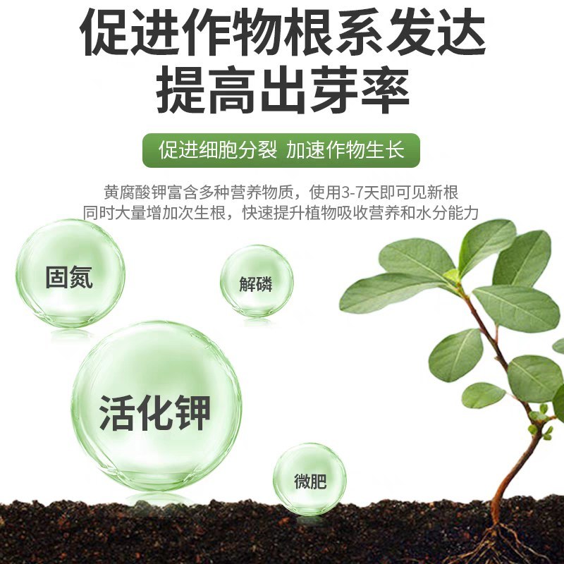 矿源黄腐酸钾！改良土壤，提高肥效，生根，壮根，固氮壮苗