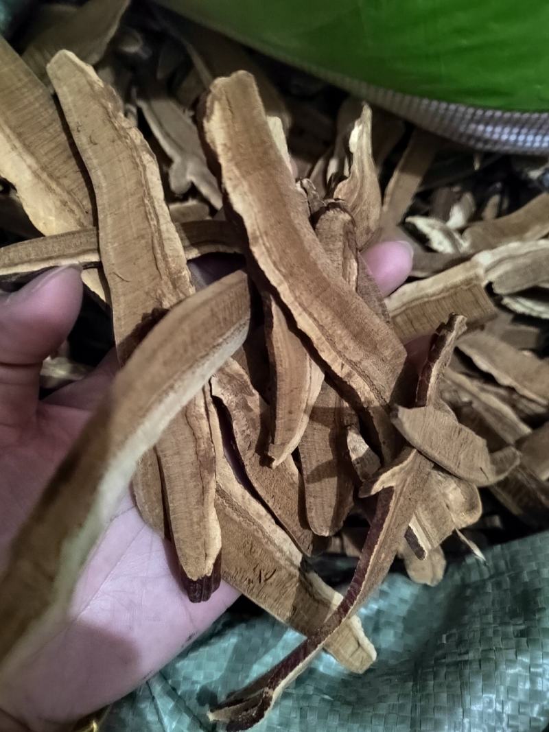 灵芝片长白山灵芝片手工切片