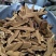 灵芝片长白山灵芝片手工切片
