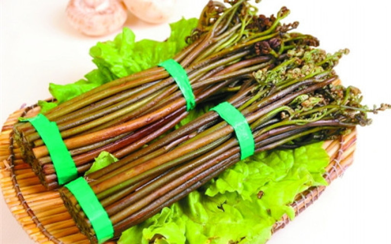 蕨菜，蕨苔