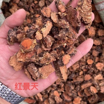 红景天西藏大红景天新货红景天片