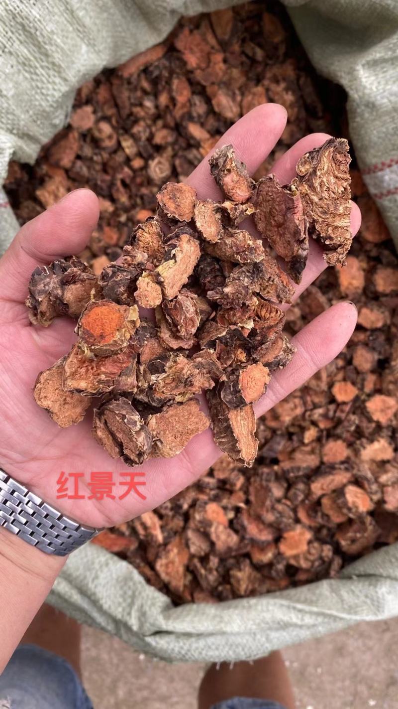 红景天西藏大红景天新货红景天片