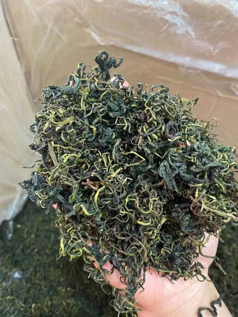 蒲公英茶茶用蒲公英新货颜色青婆婆丁茶