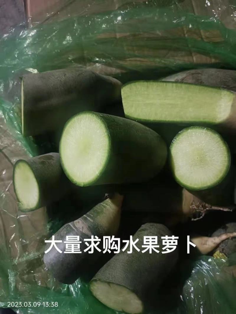 水果萝卜青萝卜电商加工厂养殖场食品厂量大从优