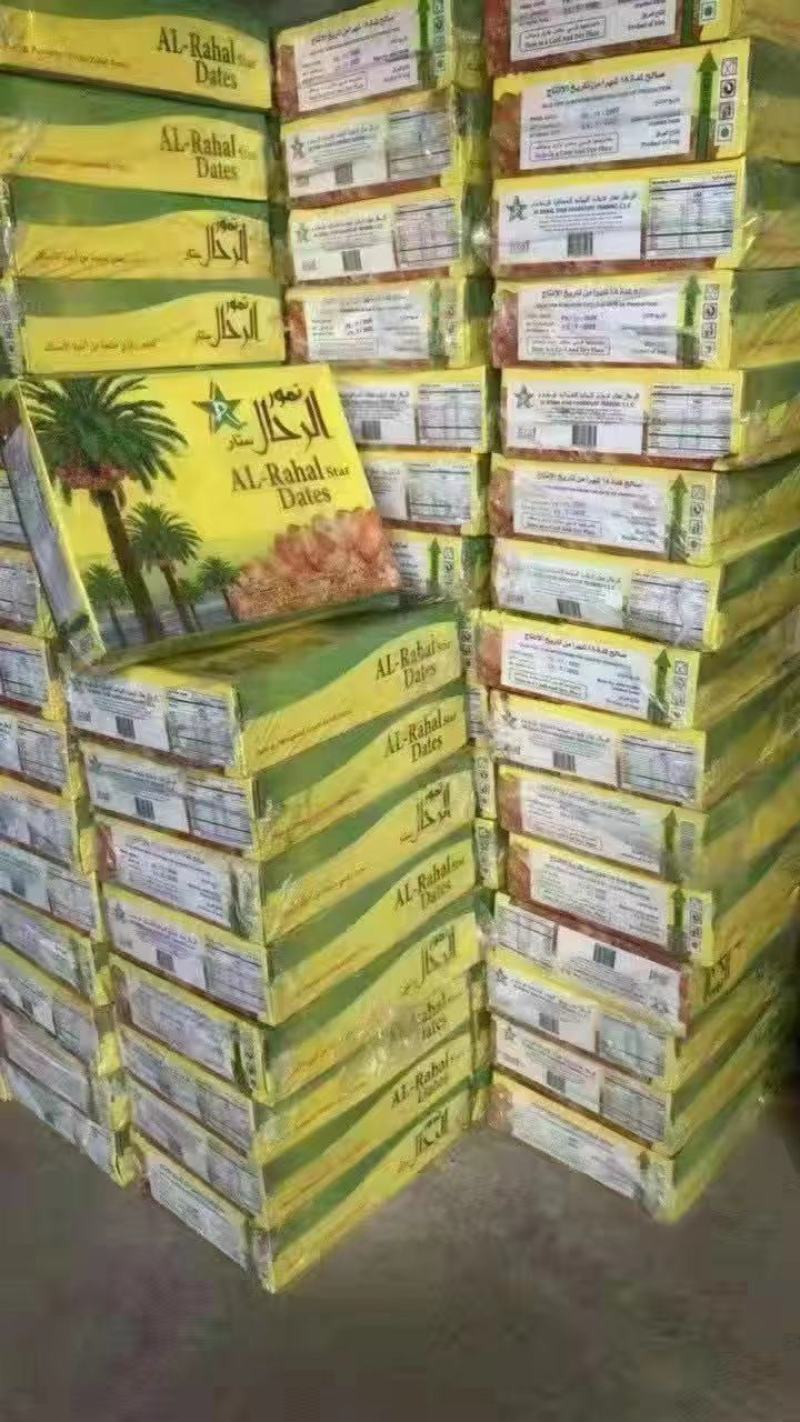 大卖进口黄金椰枣黑椰枣货源充足厂家一站式服务
